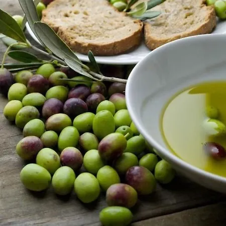 Olives * ザダル